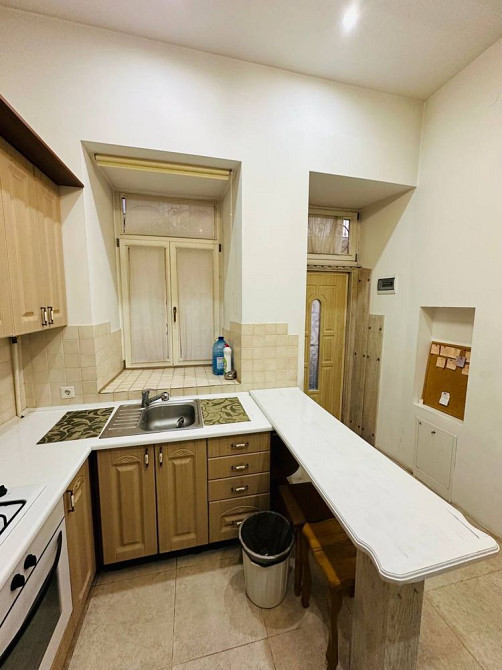 Оренда однокімнатної квартири в центрі міста  Вул. Театральна Львов - изображение 4