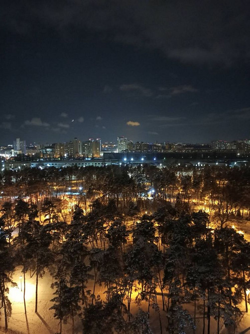 Однокімнатна квартира (Дарниця,парк «Перемога») Kyiv - photo 1