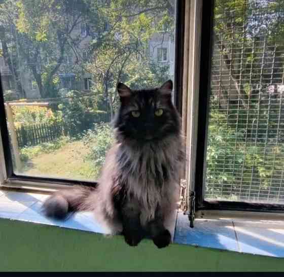 Оренда 2км.квартири по вул.Литвиненка р-н.Новий Львів Львів