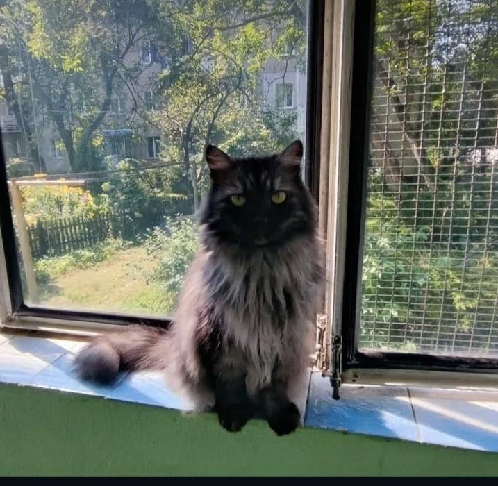 Оренда 2км.квартири по вул.Литвиненка р-н.Новий Львів Львів - зображення 5