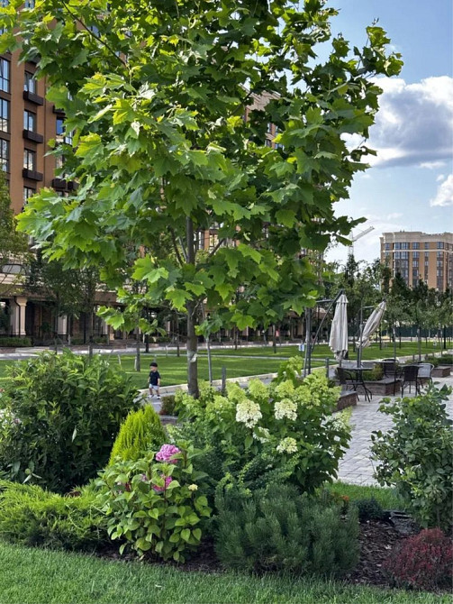 Продаю 2-кімнатну квартиру в ЖК Софія Нова Великие Новоселки - изображение 4