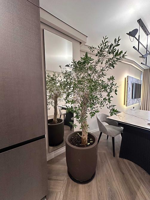 Продаж 2 кімнатної квартири з дизайнерським ремонтом ЖК Грінвіль Парк. Львов - изображение 7