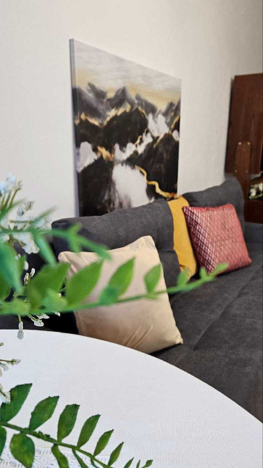 Оренда затишної 3к квартири в Центрі в 15хв до метро Київ - зображення 2