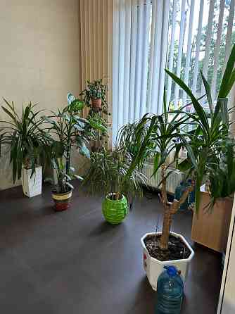 Оренда 1 к квартири ЖК Відпочинок Петрицького Kyiv