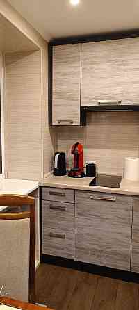 1-комн.квартира, центр, новый ремонт, мебель, техника Дніпро