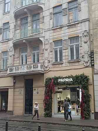 Власник, Квартира самий центр , Дорошенко вул, буд 15 148 м + підвал Львів