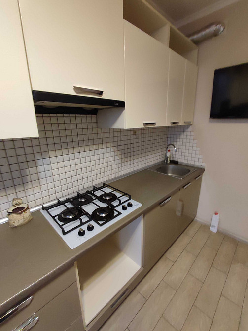 Оренда 1- кімнатної квартири ( Рясне 2) Львов - изображение 7