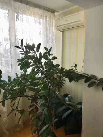 Оренда 3 кімнатної квартири Позняки/Харківський Київ