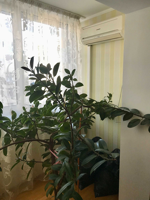 Оренда 3 кімнатної квартири Позняки/Харківський Київ - зображення 4