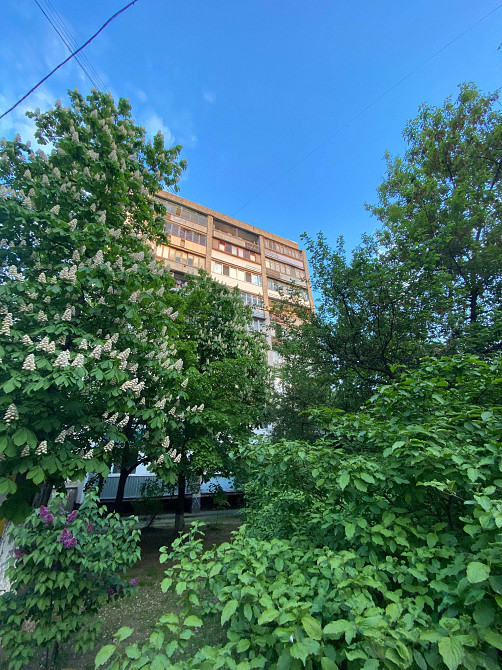 1-но кім. у історичній частині Подолу, шукає свого нового господаря. Київ - зображення 7