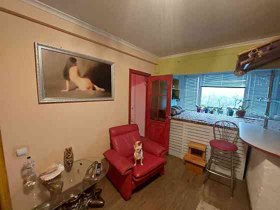 Можна тварини! 1-К квартира м. Академмістечко, Булаховского Новобіличі Киев