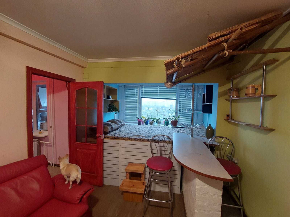 Можна тварини! 1-К квартира м. Академмістечко, Булаховского Новобіличі Киев - изображение 3