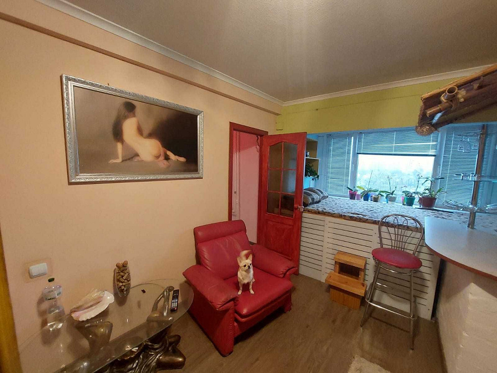 Можна тварини! 1-К квартира м. Академмістечко, Булаховского Новобіличі Киев - изображение 1