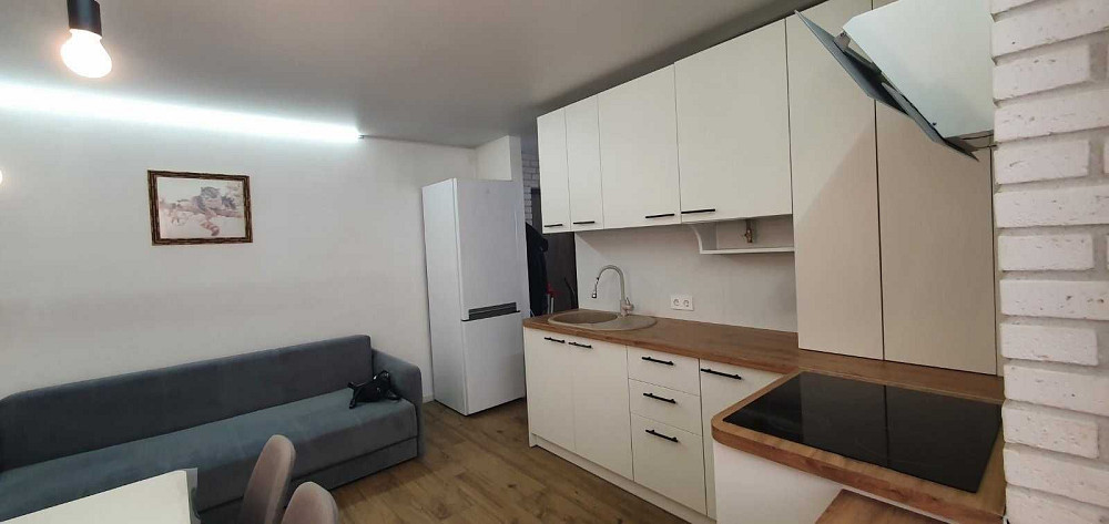 Здам 1 кімн. квартиру 42 кв.м, Нові Петрівці, Європейська вулиця Нові Петрівці - зображення 1