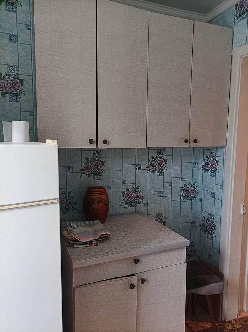 Долгосрочная аренда 2-х комнатная квартира Каменское (Никопольский р-н) - изображение 5