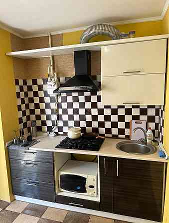 Богунія Тиждень або місяць 3 спальні місця Можна з тваринами Житомир