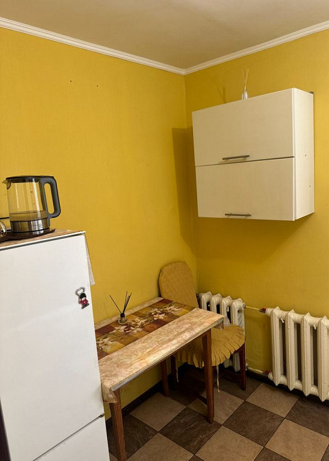 Богунія Тиждень або місяць 3 спальні місця Можна з тваринами Житомир - изображение 5