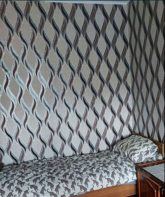 Сдам 1ку на Заречном Кривий Ріг - зображення 2