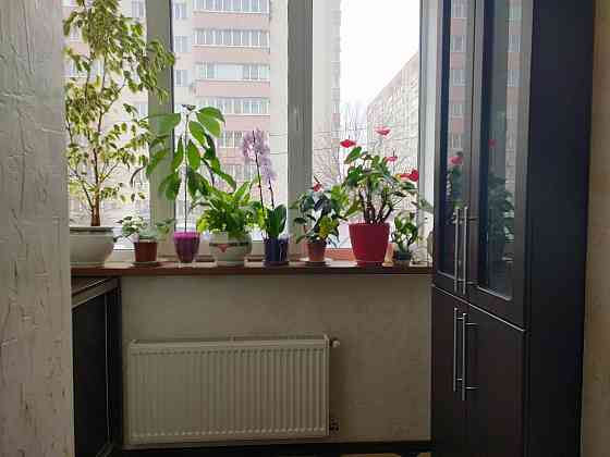 Оренда 2-х кімн в ЖК Софія Софіївська Борщагівка