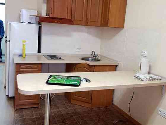 Ул. Олевська, 11, ЖК Сосновий  Бір, Біличи, затишна 1к.кв. 29м Киев