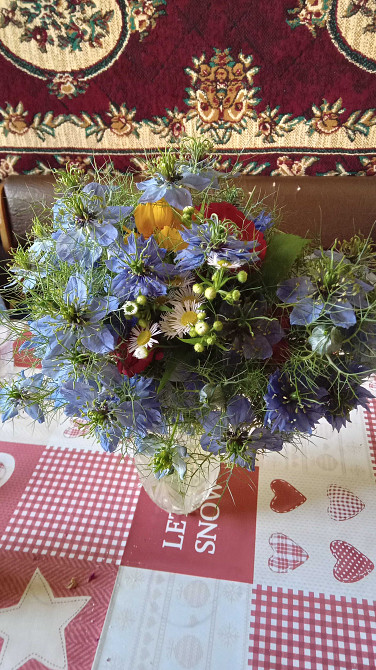 Сдам комнату в общежитии со своими удобствами 
 Котовского Одеса - зображення 1