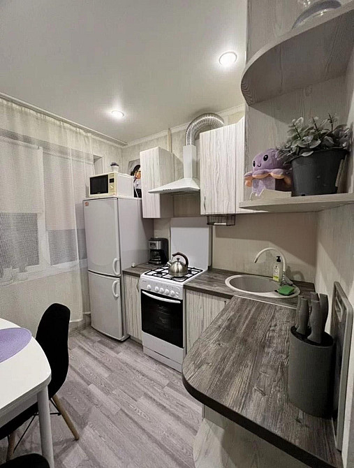 Однокімнатна квартира на Троєщині Київ - зображення 4