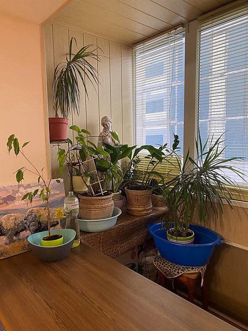 3 кімн квартира, Митниця, Ремонт, Меблі, Техніка Черкаси - зображення 5