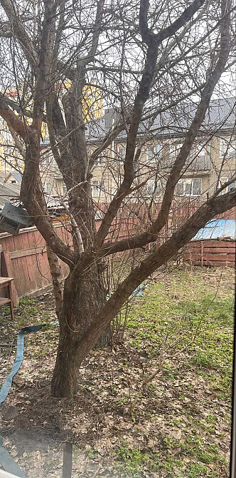 Терміновий продаж! Однокімнатна квартира! Мінімальне оформлення! Гостомель - зображення 7