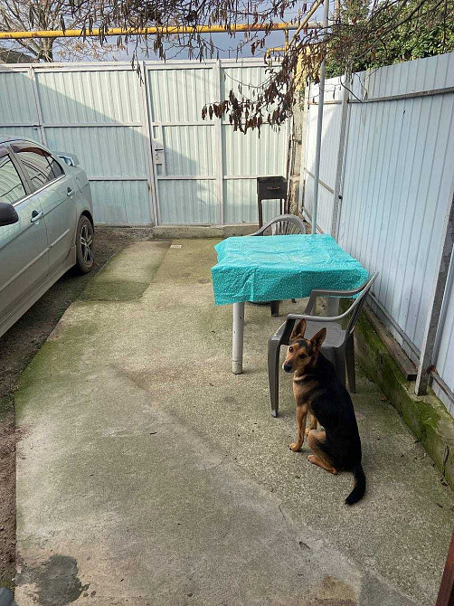 продам 2-х комнатную квартиру в Красноселке Одесская обл. Красносілка - зображення 4