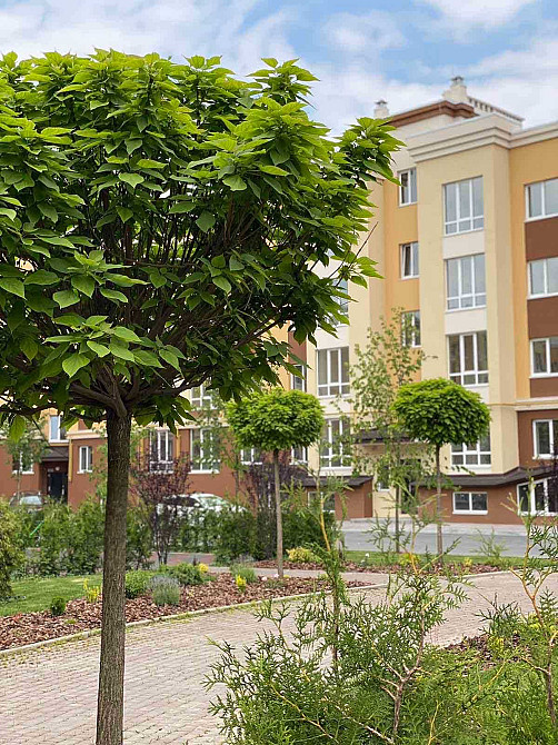 СУПЕР 1к 32м РЕМОНТ ЖК Львівський Затишок Власник Софіївська Борщагівка - зображення 7