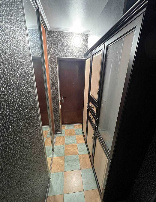 Продам однокомнатную квартиру Великий Дальник - изображение 5