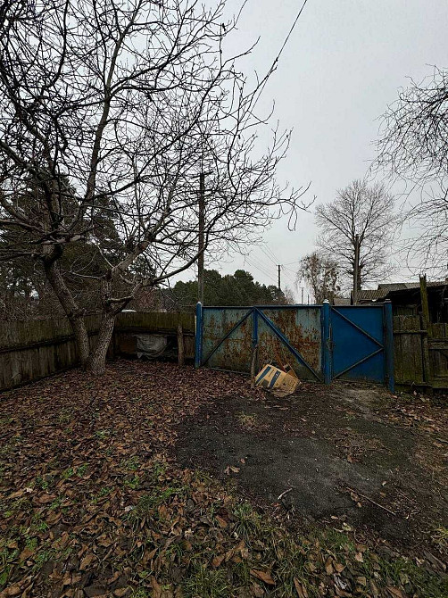 Терміновий продаж земельної ділянки під Києвом; 0,7 га с. Глібівка Глібівка - зображення 4