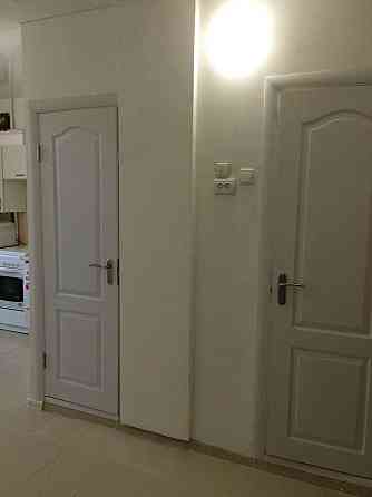 1-кімнатна квартира, Ч.Запорожців (Воскрєсєнка) Kyiv