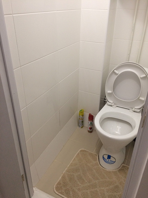 1-кімнатна квартира, Ч.Запорожців (Воскрєсєнка) Kyiv - photo 8