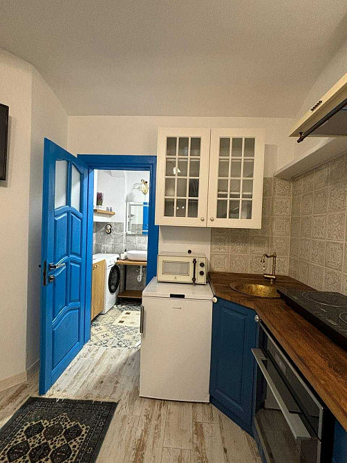 Оренда сучасної 1к.кв. Мушака центр 300 дол.США Львов - изображение 3