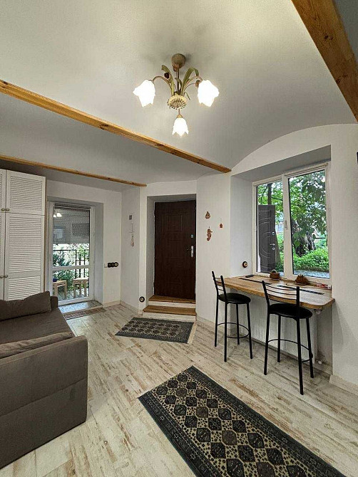 Оренда сучасної 1к.кв. Мушака центр 300 дол.США Львов - изображение 5