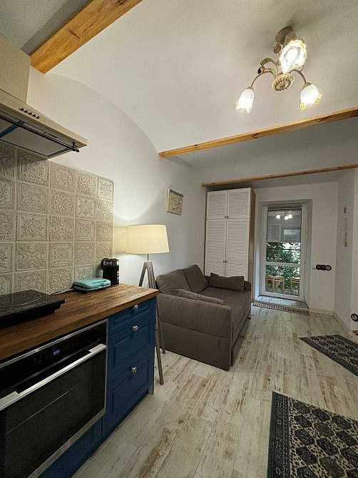 Оренда сучасної 1к.кв. Мушака центр 300 дол.США Львов - изображение 6