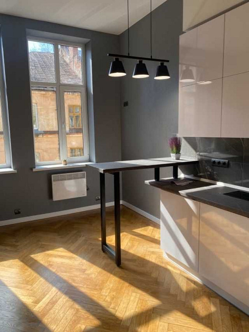 Оренда 1 к.кв. Мушака 300дол.США Львов - изображение 1