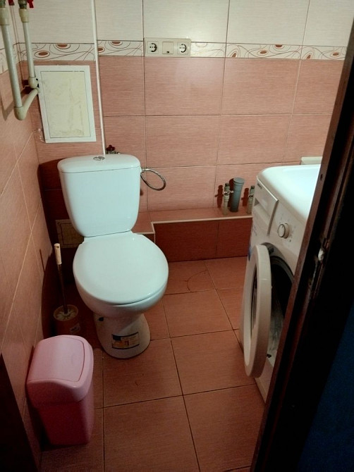 Здається 1-кімнатна квартира в Полтаві ( Супрунівка) Супрунівка (Полтавська обл.) - зображення 6