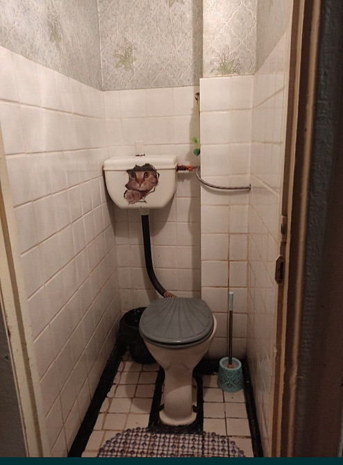 Здам 2к квартиру, 1/5, біля 24 школи, зупинка "пошта", Хортицький р-н, Запорожье - изображение 6