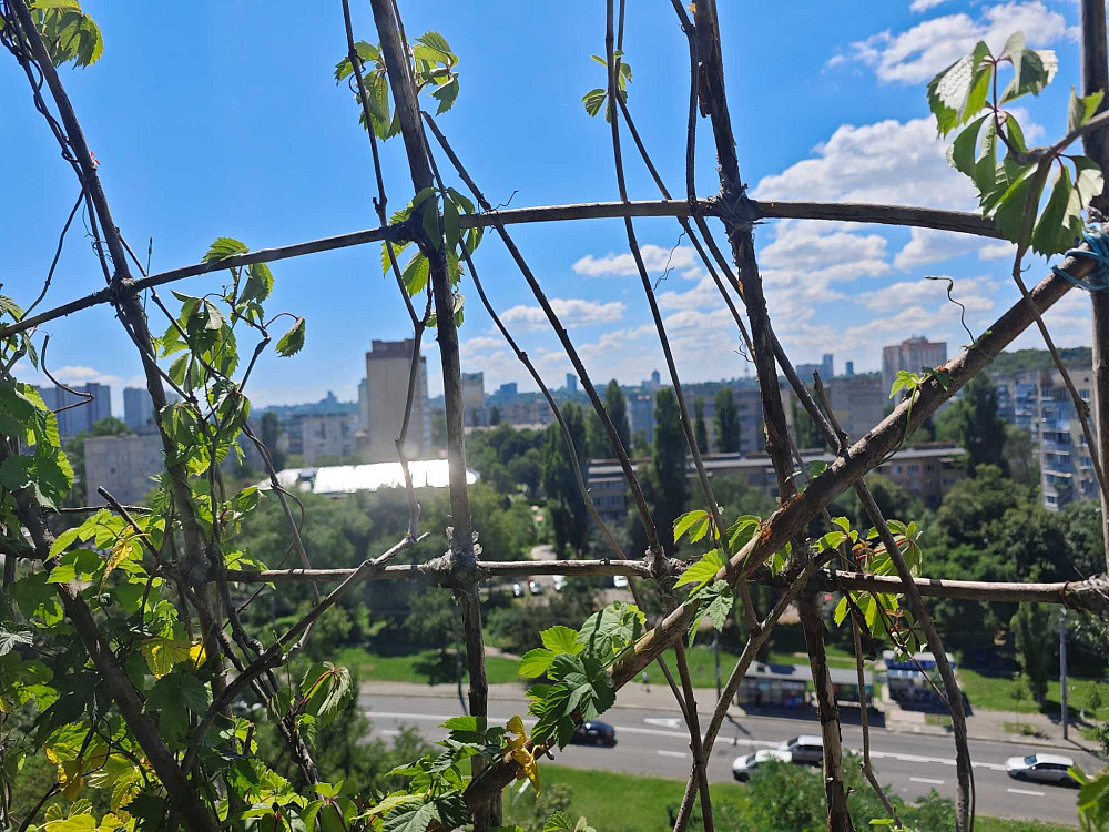 Трёхкомнатная квартира . Оболонь, Куреневка. Приорка. Минская Київ - зображення 7