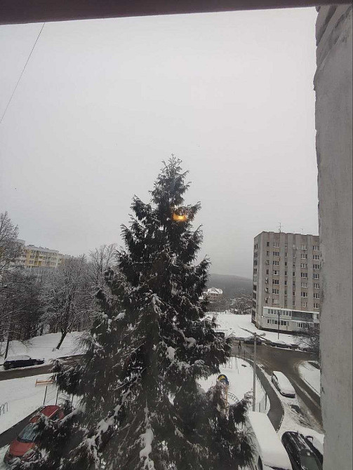 Оренда 2 кім. квартири у Личаківському р_ н Львова Львів - зображення 1