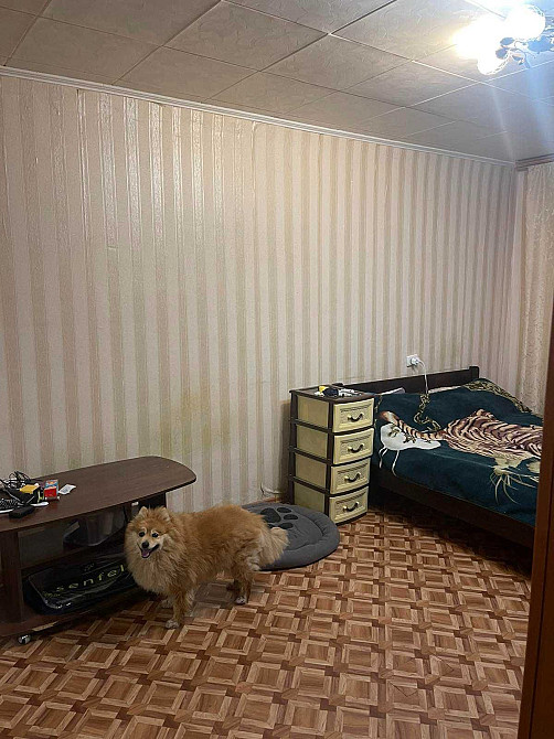 1 ком квартира за 21 тыс Чорноморськ - зображення 7