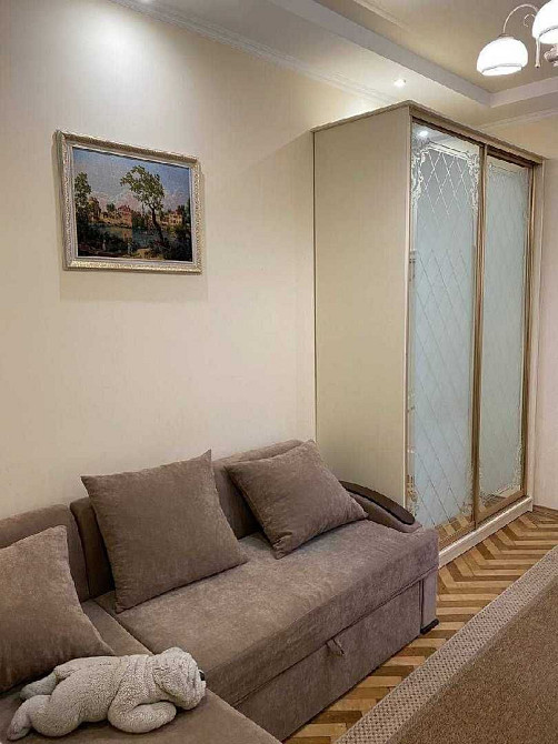 Оренда 1-кімнатної квартири в Центрі Міста по вул. Костя Левицького Львів - зображення 3