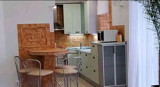 Оренда кватрири 1кімнатна вул Л Гузара Львів