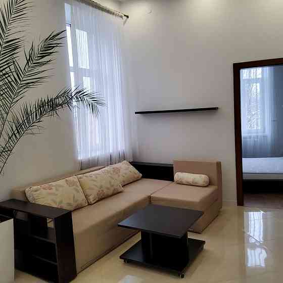 Оренда кватрири 1кімнатна вул Л Гузара Львів