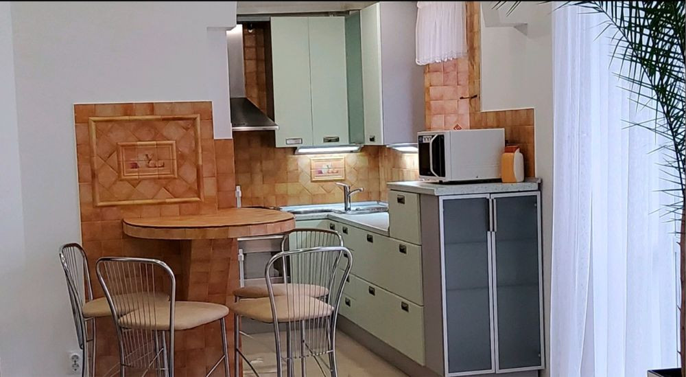 Оренда кватрири 1кімнатна вул Л Гузара Львов - изображение 3