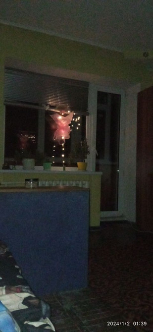 Сдам двухкомнатную квартиру Каменское (Запорожская обл.) - изображение 5