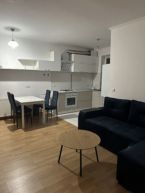 Оренда 2 кімн ізольов + кухня студія вул Пасічна ЖК Пасічний Ваш дім Львов - изображение 3