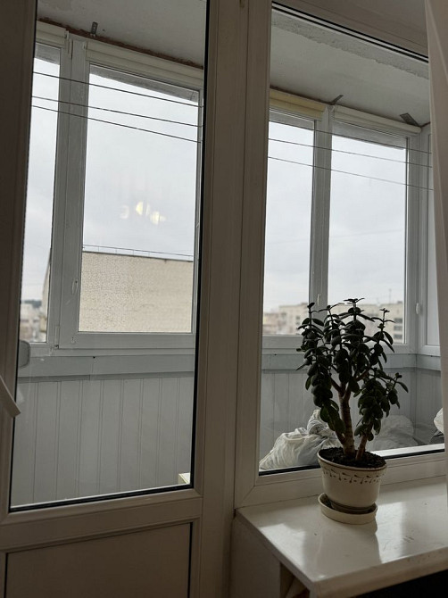 Відродженн  14а Ковель - зображення 3